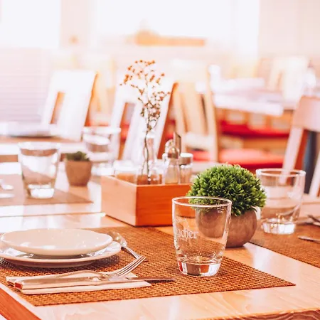 Zum Ochsen 호텔 3*