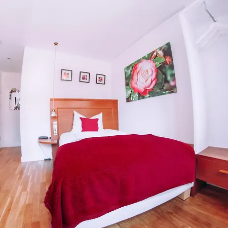 Zum Ochsen فندق 3*