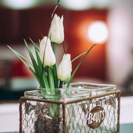 فندق Zum Ochsen 3*